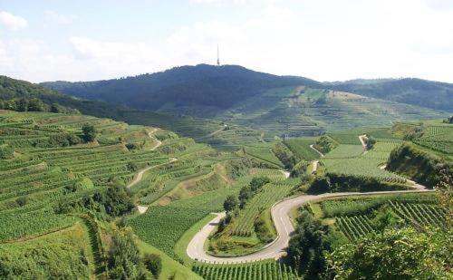 Landgasthof Zum Lamm Bahlingen  Exterior foto